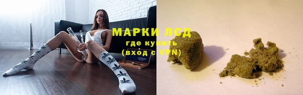трава Армянск
