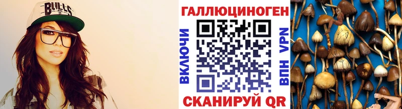 Псилоцибиновые грибы Cubensis  Каспийск 