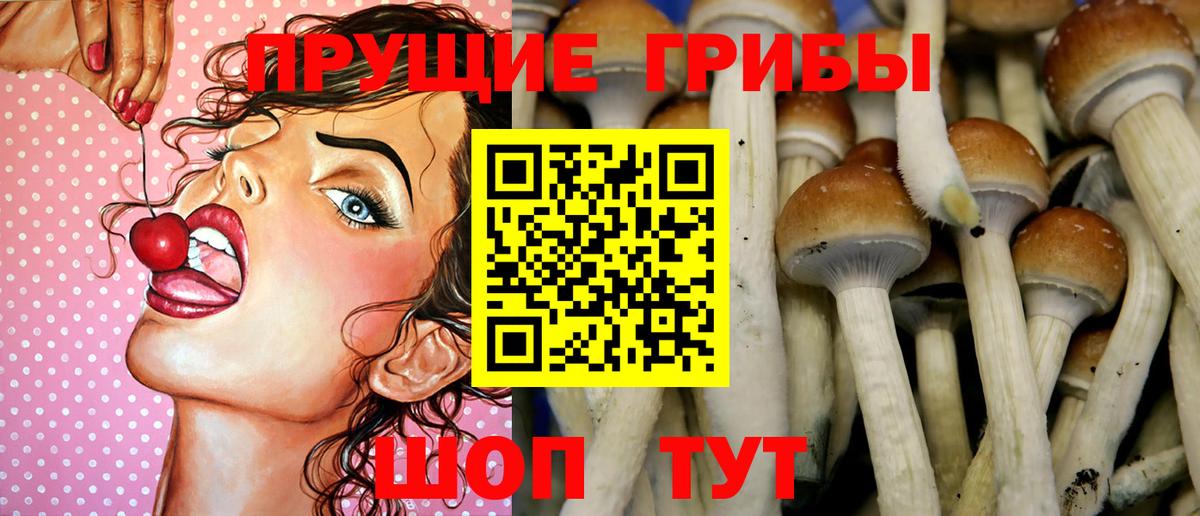 МЕФ Каспийск