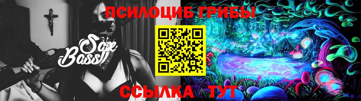 Каспийск  Галлюциногенные грибы прущие грибы  Вход с VPN  Галлюциногенные грибы Psilocybe 